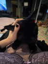 nicoleponyxox Altpins Profile Picture