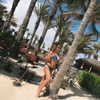 nicolevitalee Altpins Profile Picture