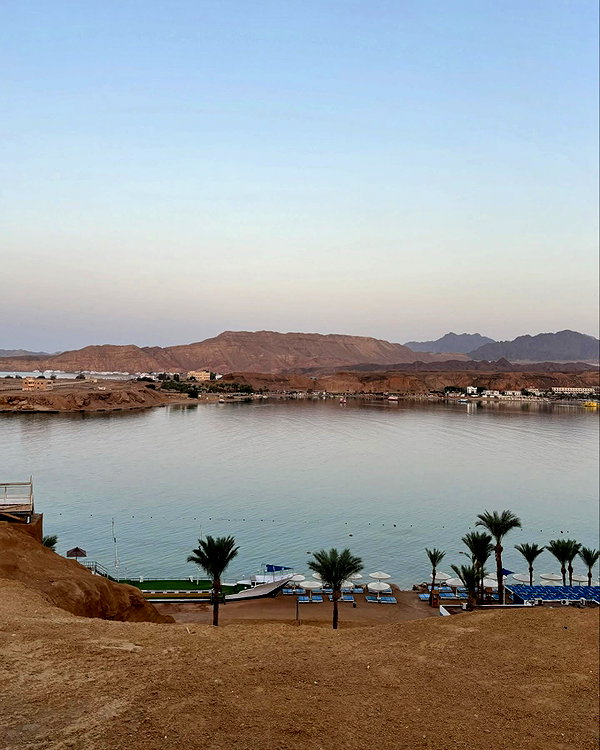 niisadurmaz instagram image archive image