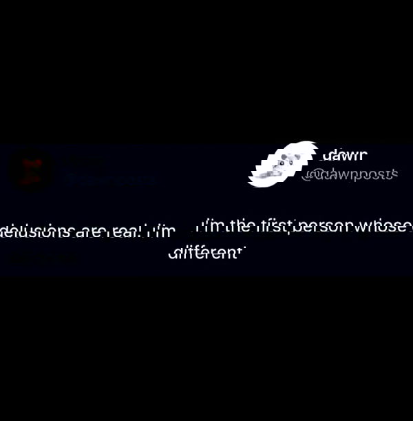 nikkibitez nikkibitez archive image