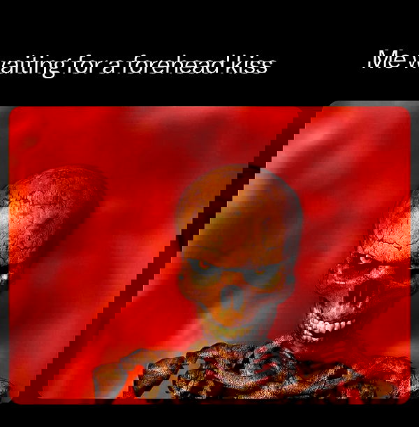 nikkibitez nikkibitez archive image