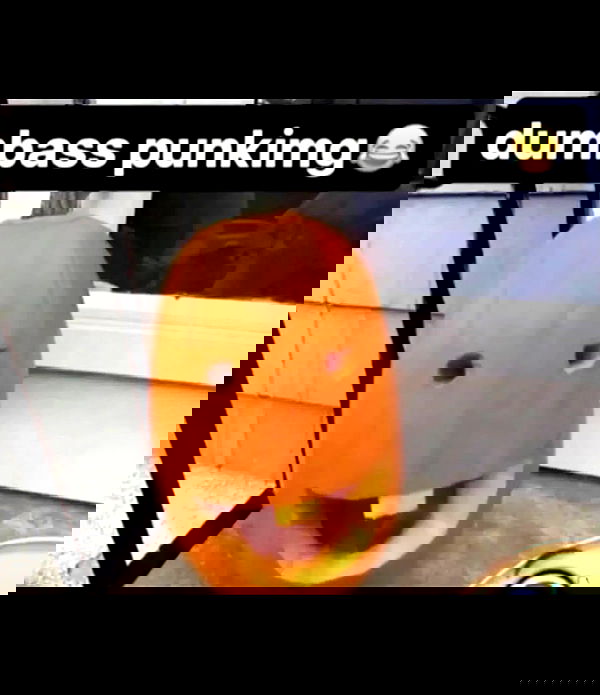 nikkibitez nikkibitez archive image