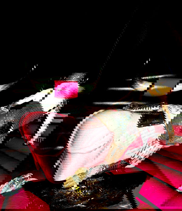 nikkibitez nikkibitez archive image