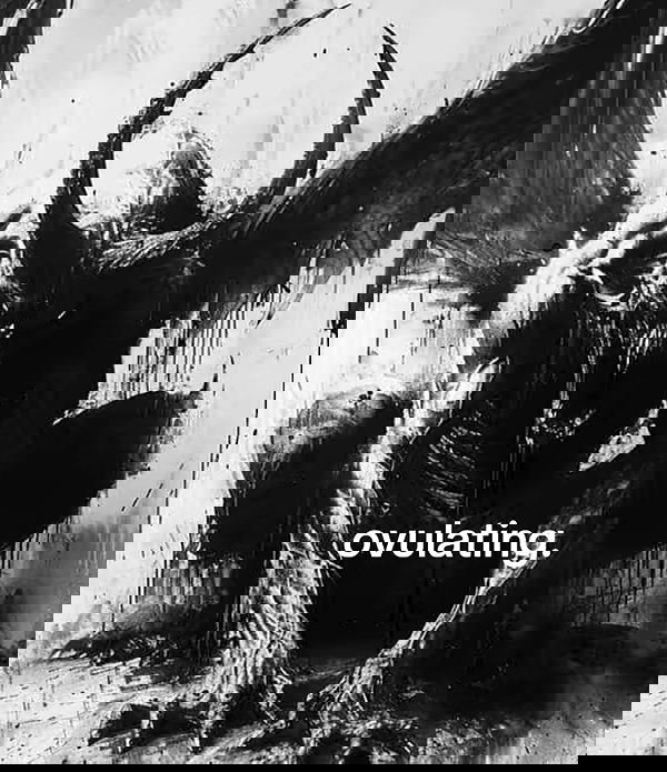 nikkibitez nikkibitez archive image