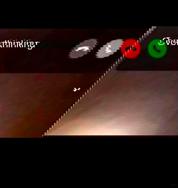 nikkibitez nikkibitez archive image