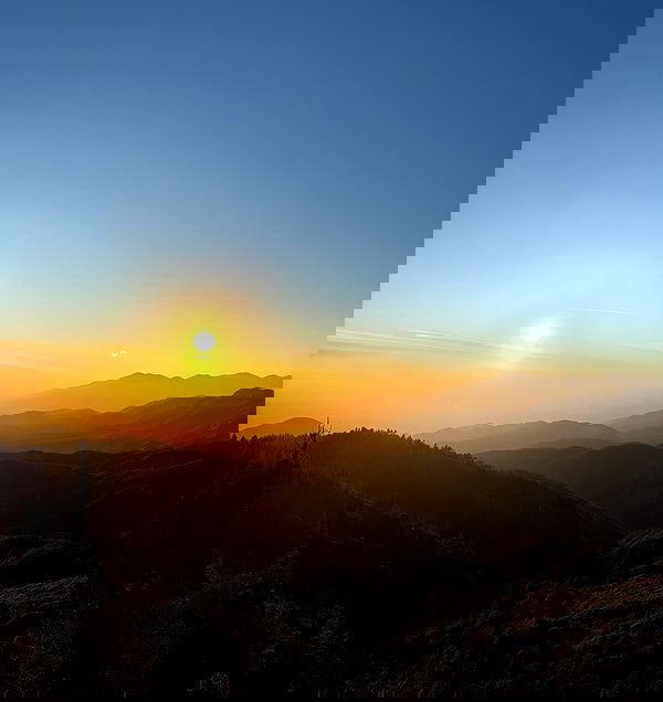 nikkibitez nikkibitez archive image