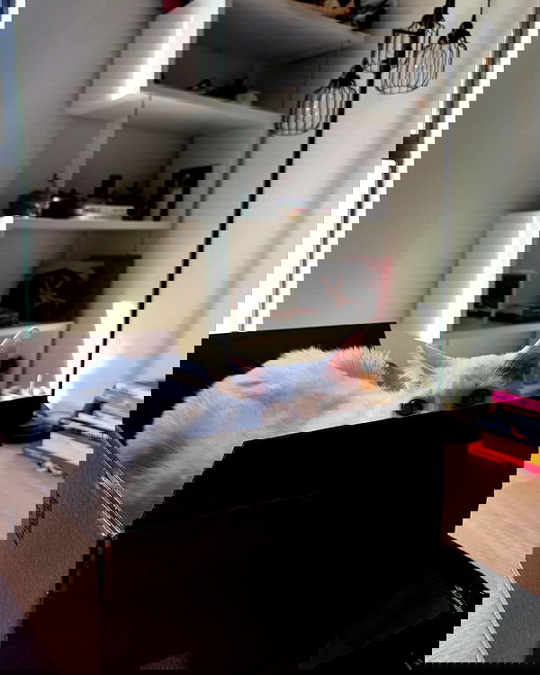 nikkibitez nikkibitez archive image