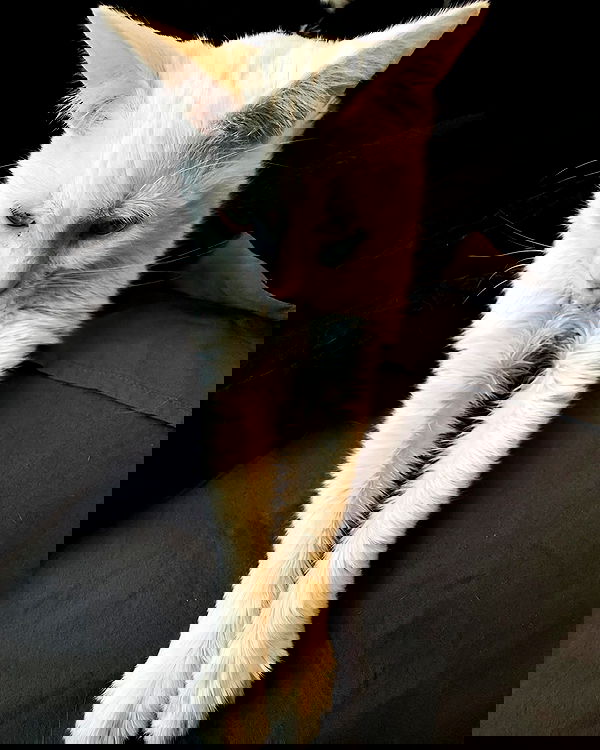 nikkibitez nikkibitez archive image