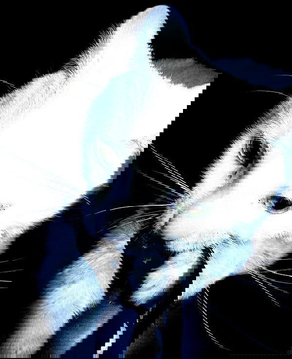 nikkibitez nikkibitez archive image