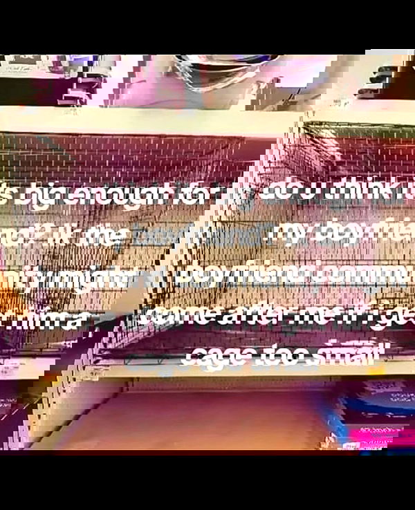 nikkibitez nikkibitez archive image