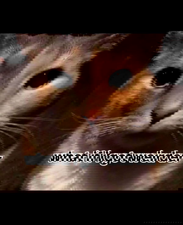 nikkibitez nikkibitez archive image