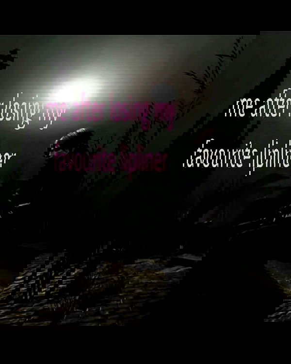 nikkibitez nikkibitez archive image