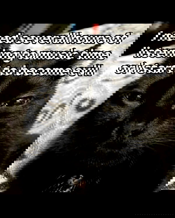 nikkibitez nikkibitez archive image