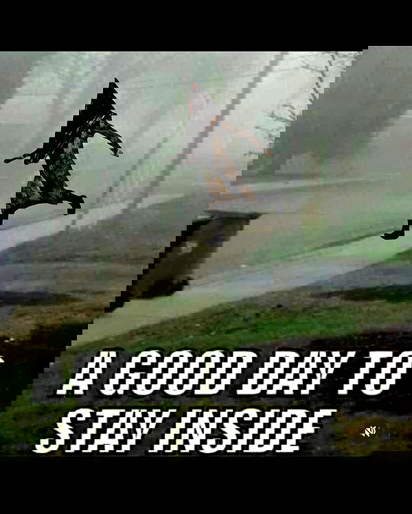 nikkibitez nikkibitez archive image