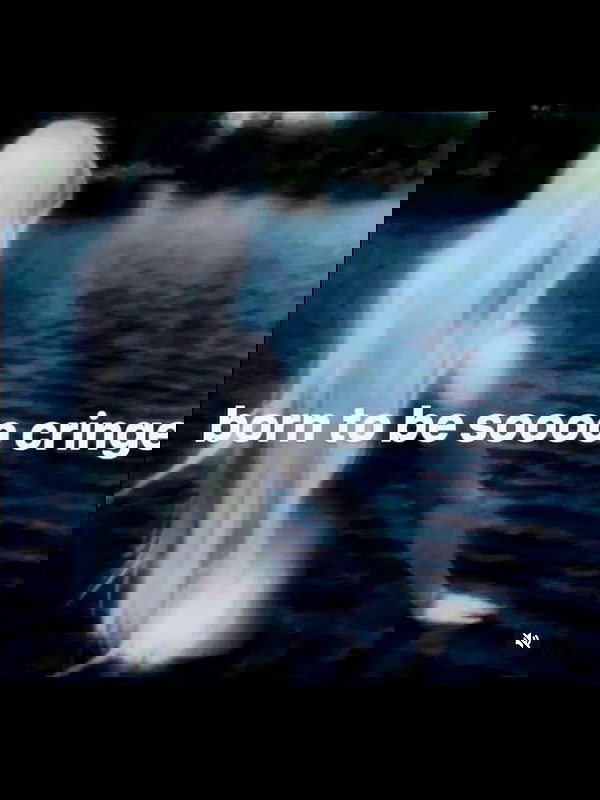 nikkibitez nikkibitez archive image