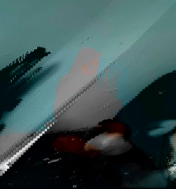 nikolgolovatzky nikolgolovatzky archive image