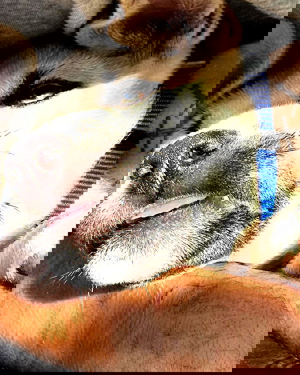 nikolgolovatzky nikolgolovatzky archive image