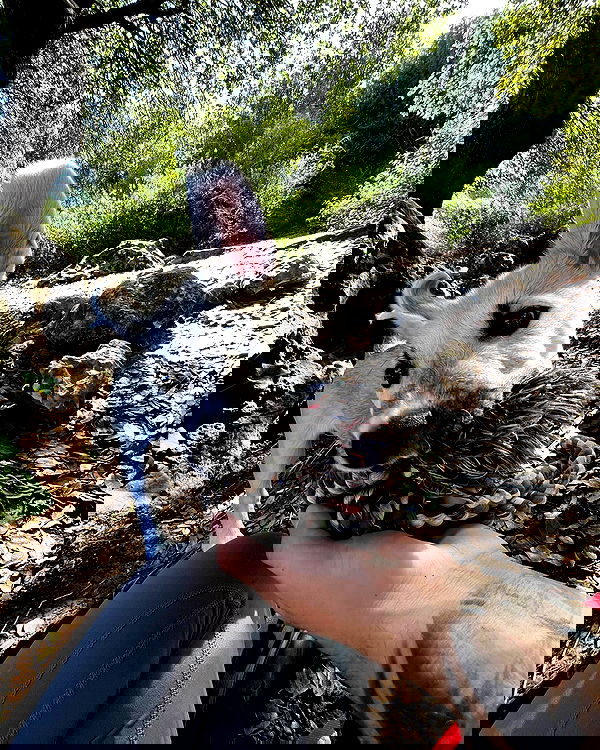 nikolgolovatzky nikolgolovatzky archive image