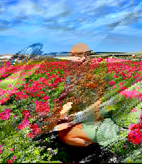 nikolgolovatzky nikolgolovatzky archive image