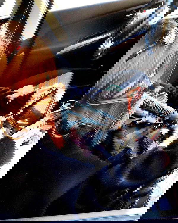 nikolgolovatzky nikolgolovatzky archive image