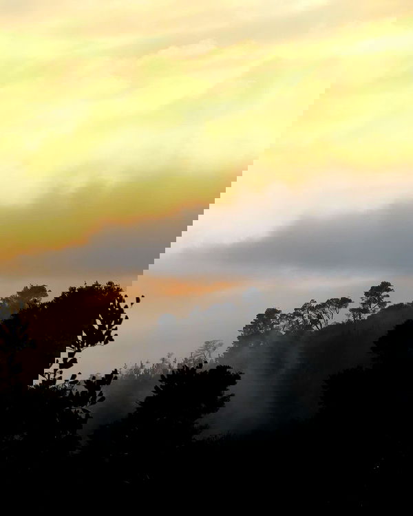 nikolgolovatzky nikolgolovatzky archive image