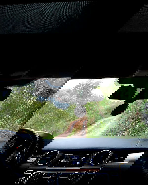 nikolgolovatzky nikolgolovatzky archive image