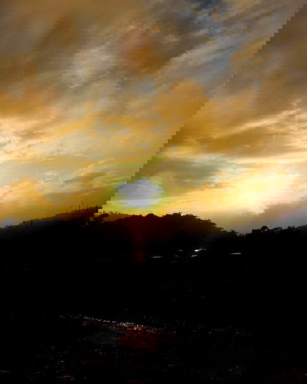 nikolgolovatzky nikolgolovatzky archive image