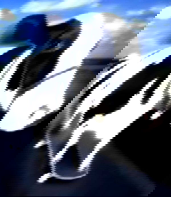 nikolgolovatzky nikolgolovatzky archive image