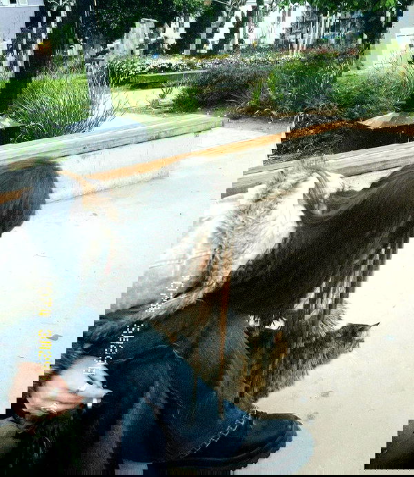 nikolgolovatzky nikolgolovatzky archive image