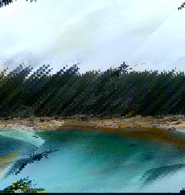 nikolgolovatzky nikolgolovatzky archive image