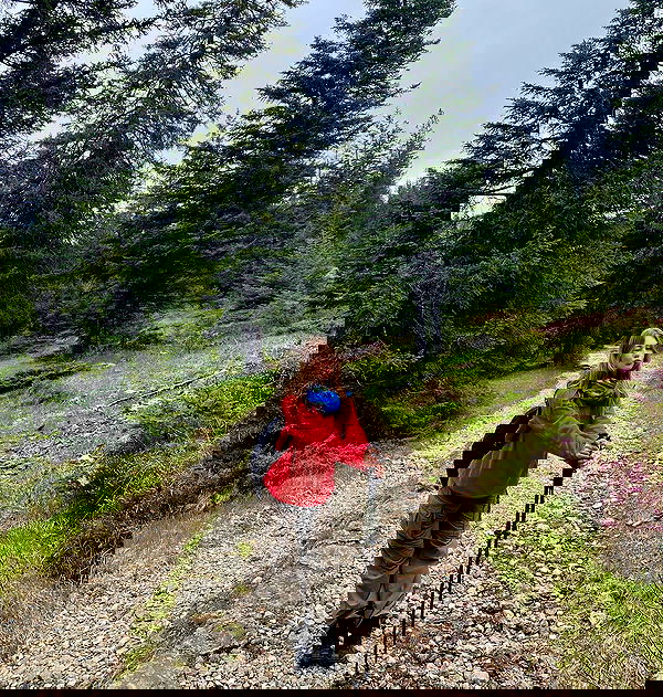 nikolgolovatzky nikolgolovatzky archive image