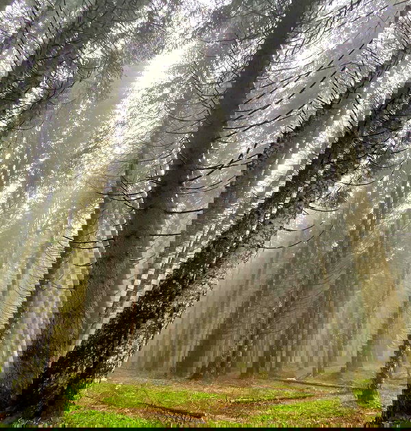 nikolgolovatzky nikolgolovatzky archive image