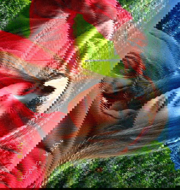 nikolgolovatzky nikolgolovatzky archive image