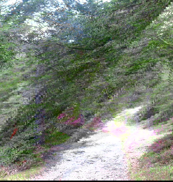 nikolgolovatzky nikolgolovatzky archive image