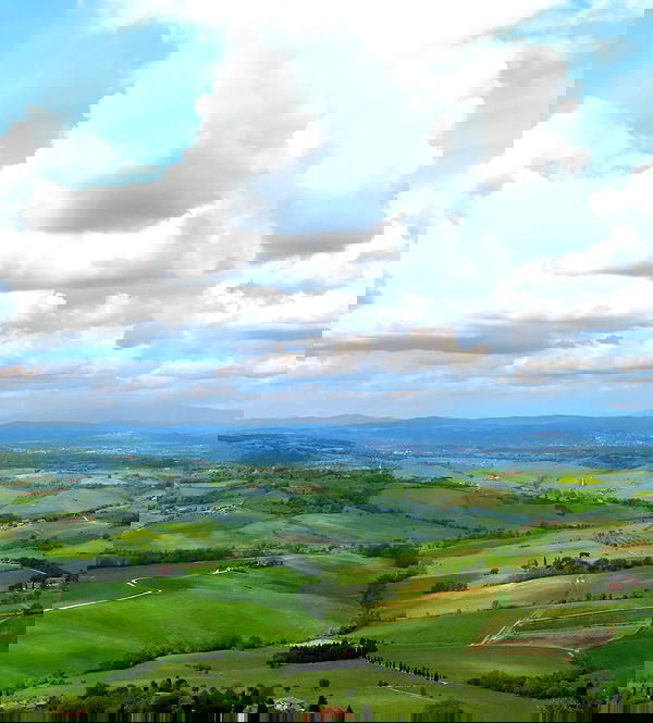 nikolgolovatzky nikolgolovatzky archive image