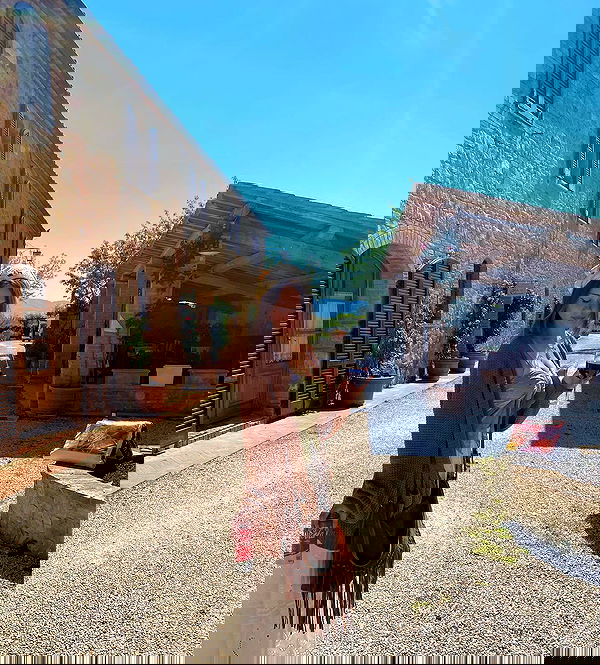 nikolgolovatzky nikolgolovatzky archive image