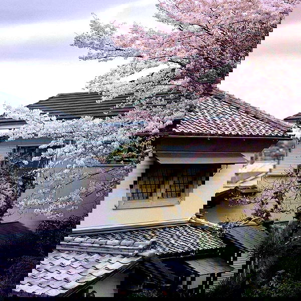 ninja.vi ninja.vi archive image