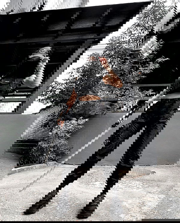 ninja.vi ninja.vi archive image