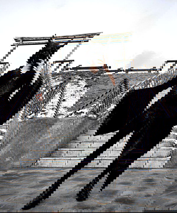 ninja.vi ninja.vi archive image