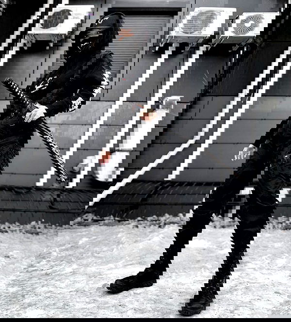 ninja.vi ninja.vi archive image