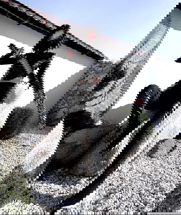 ninja.vi ninja.vi archive image