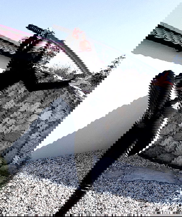 ninja.vi ninja.vi archive image