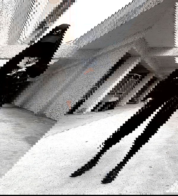 ninja.vi ninja.vi archive image