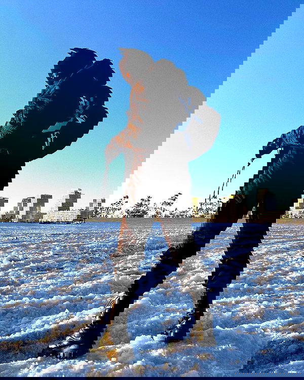 ninja.vi ninja.vi archive image