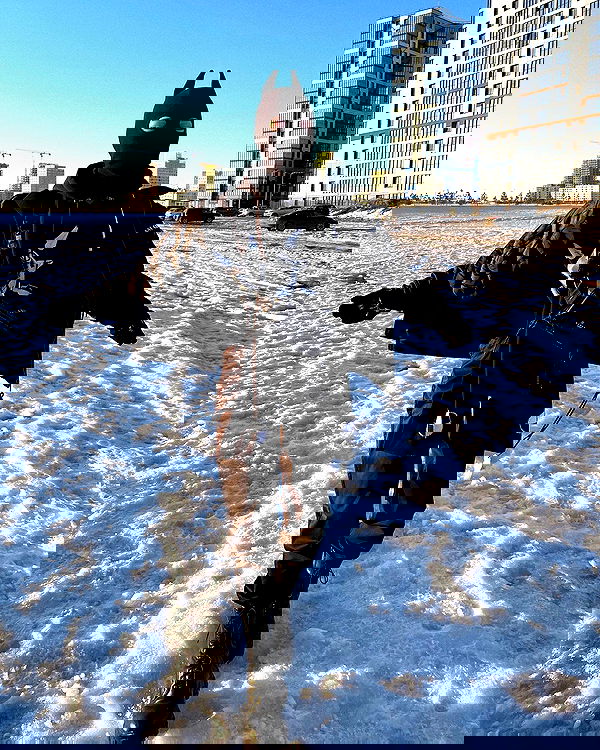 ninja.vi ninja.vi archive image