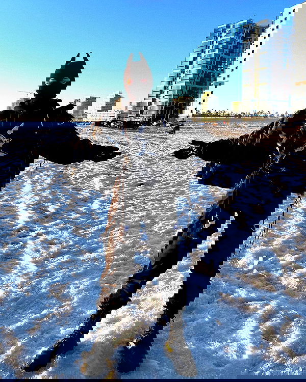 ninja.vi ninja.vi archive image