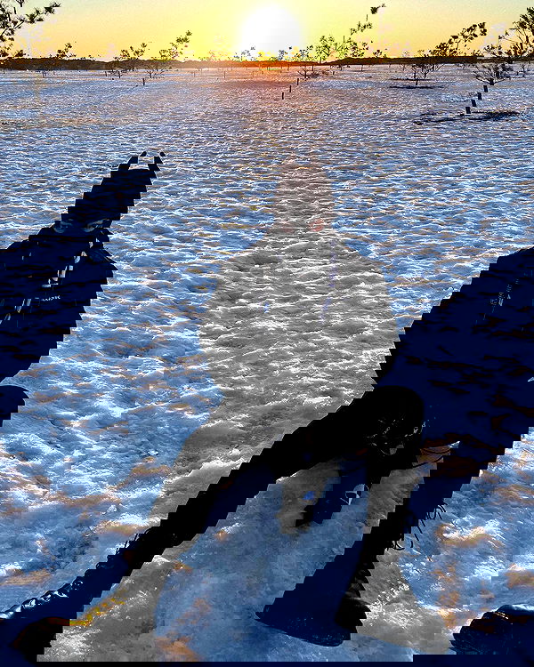 ninja.vi ninja.vi archive image