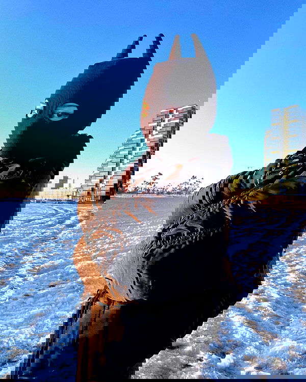 ninja.vi ninja.vi archive image