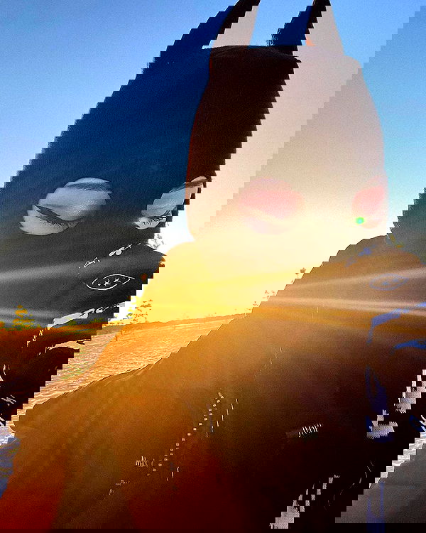 ninja.vi ninja.vi archive image