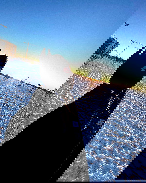 ninja.vi ninja.vi archive image